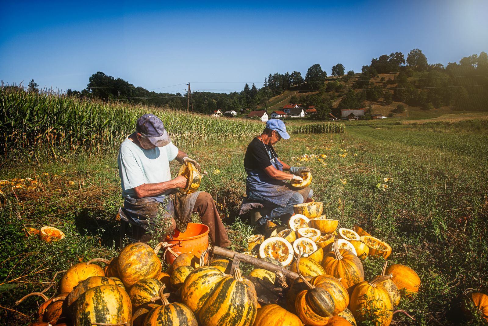 Two growers sitting in a field sorting a harvest of squash