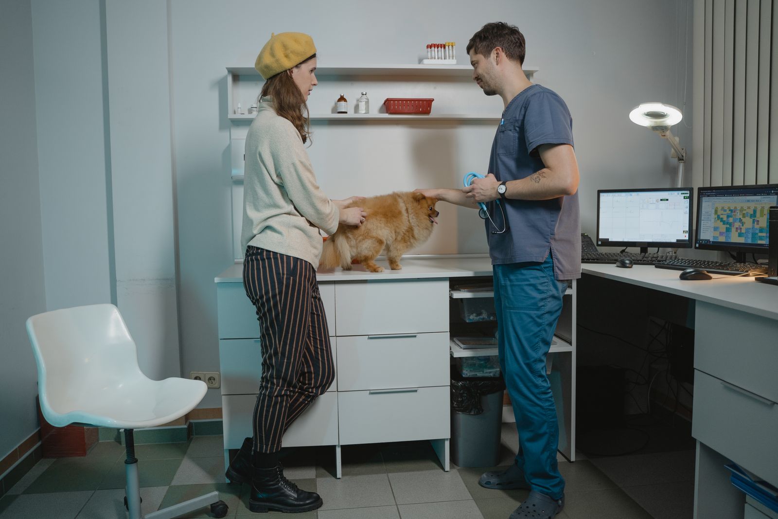 An owner and a vet in scrubs talking over a small dog standing on the consulting-room counter
