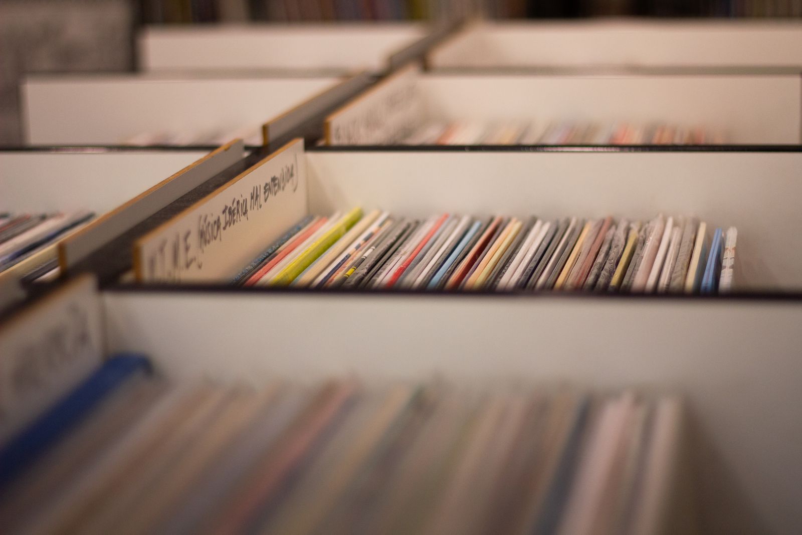 Rows of vinyl records standing in the bins of a record shop