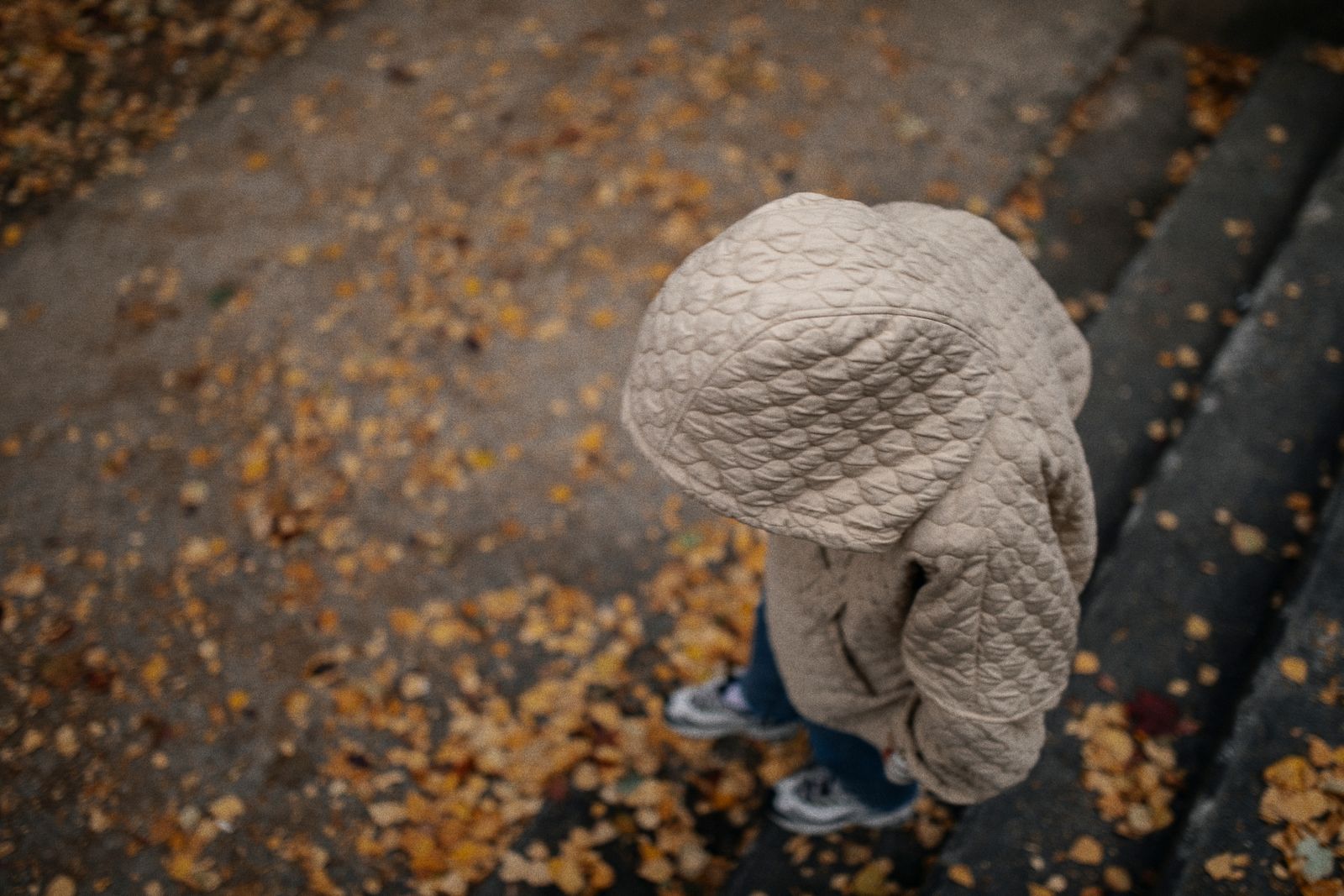 A toddler in a quilted coat and hood, seen from above on an autumn path