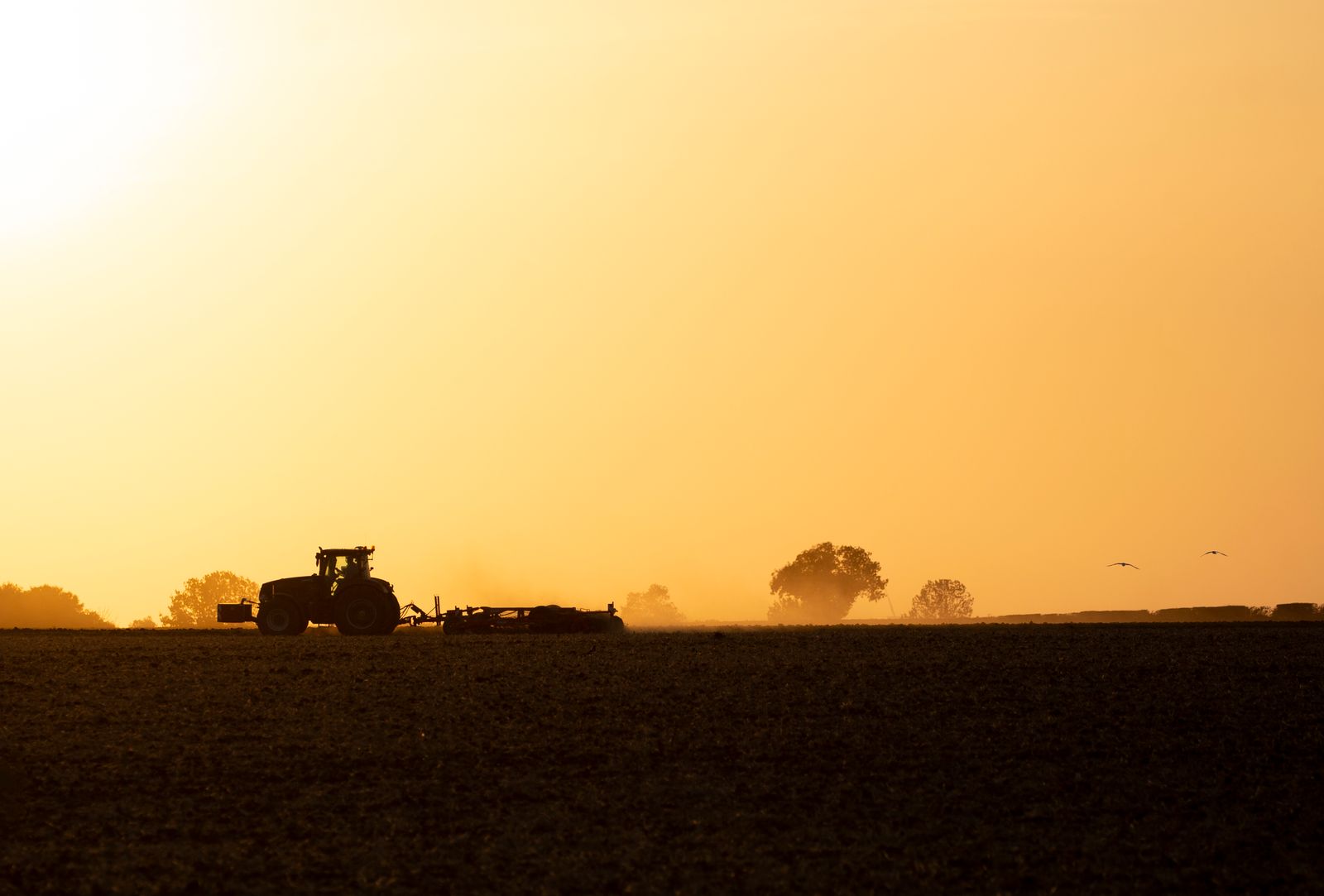 A tractor working a field at sunrise, seen in silhouette
