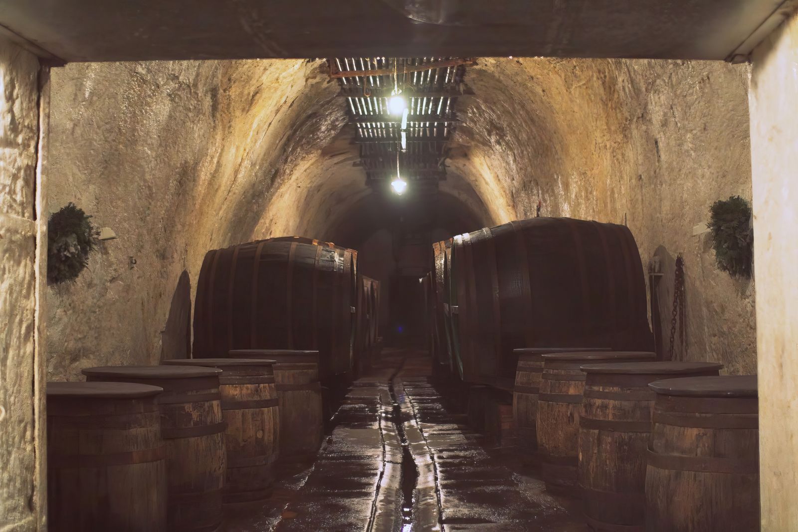 Wooden casks resting in a vaulted beer cellar