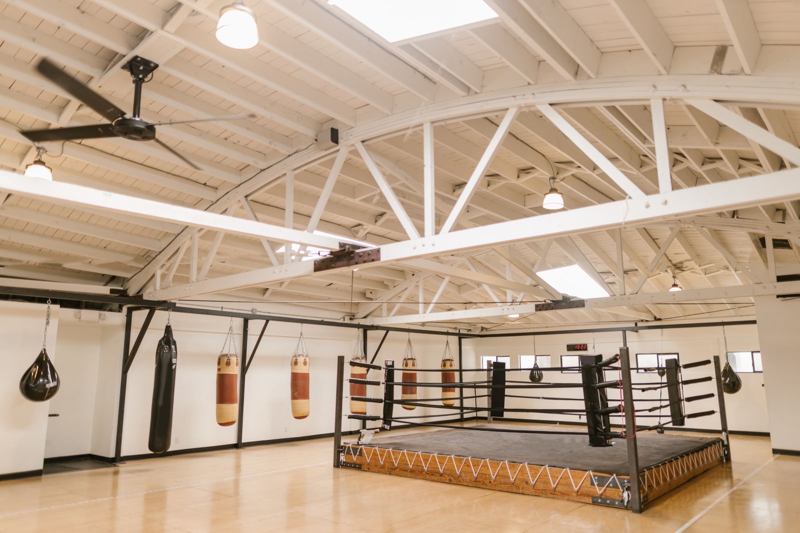 A boxing gym with a raised ring, heavy bags along the walls and a wooden floor