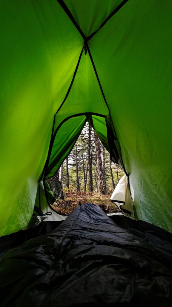 The view out of the open door of a green tent onto a pine forest