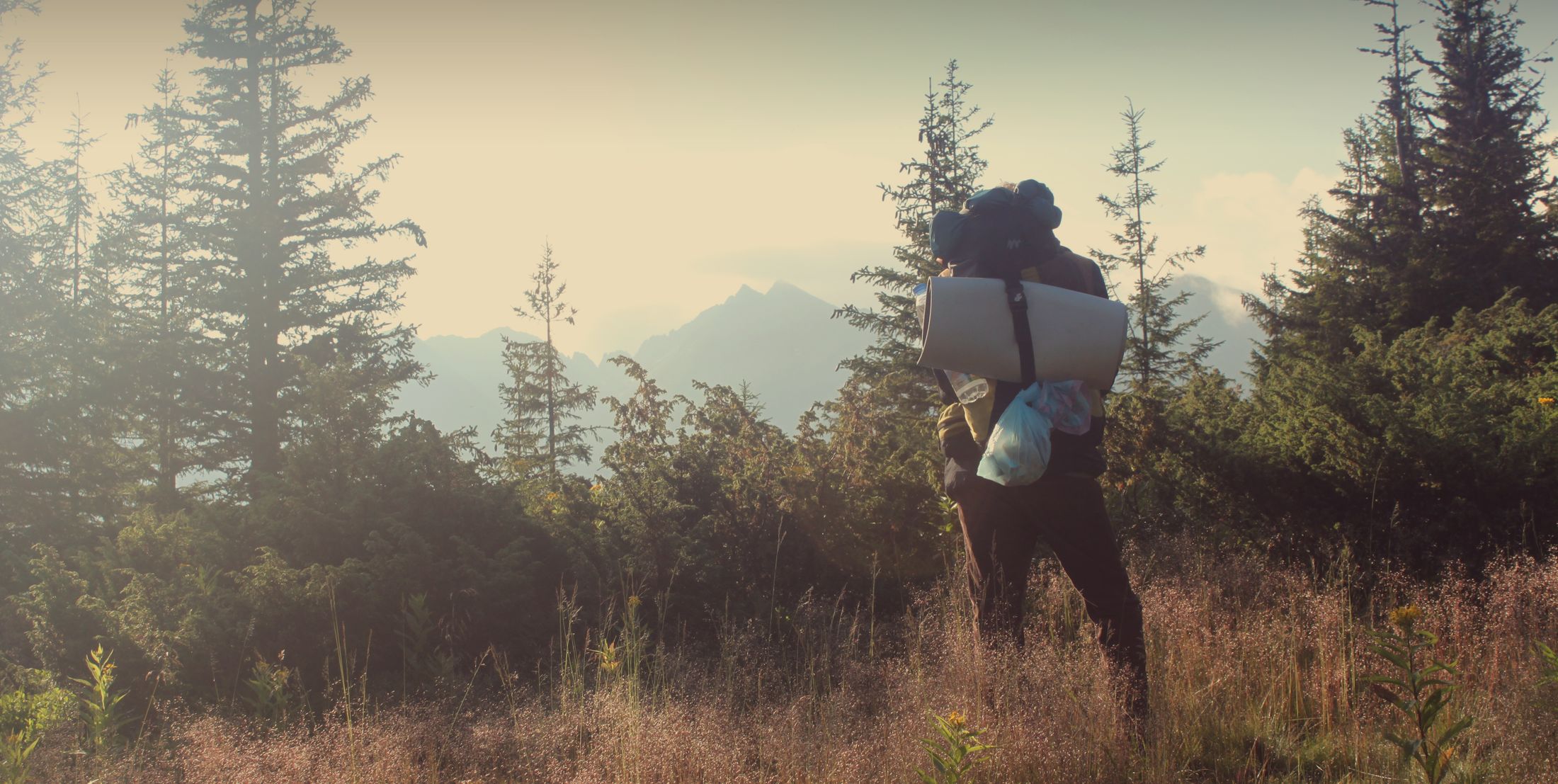 A hiker with a backpack and a rolled sleeping mat stands among pines, looking over a hazy valley at sunrise