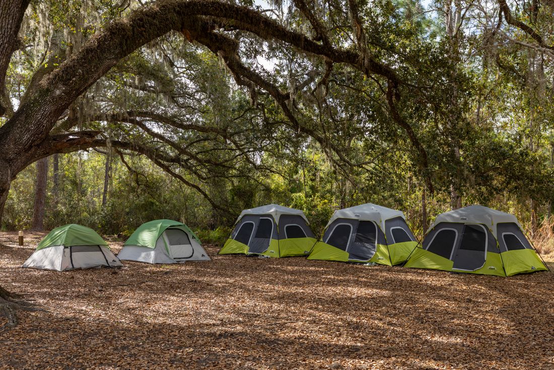 A row of grey and green cabin tents under the spreading branches of an old oak