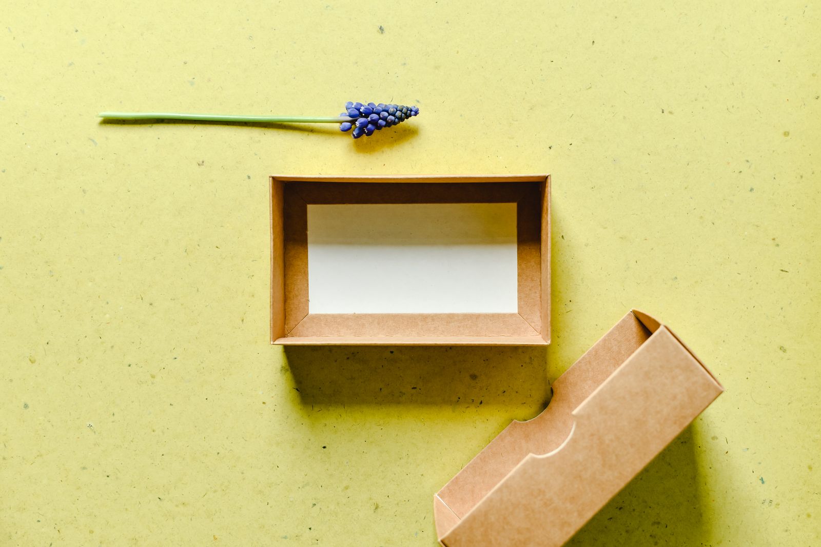 An open kraft box and its lid on a yellow paper background