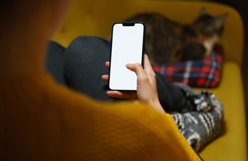 A person on a yellow sofa holding a phone with a blank screen, a cat asleep beside them