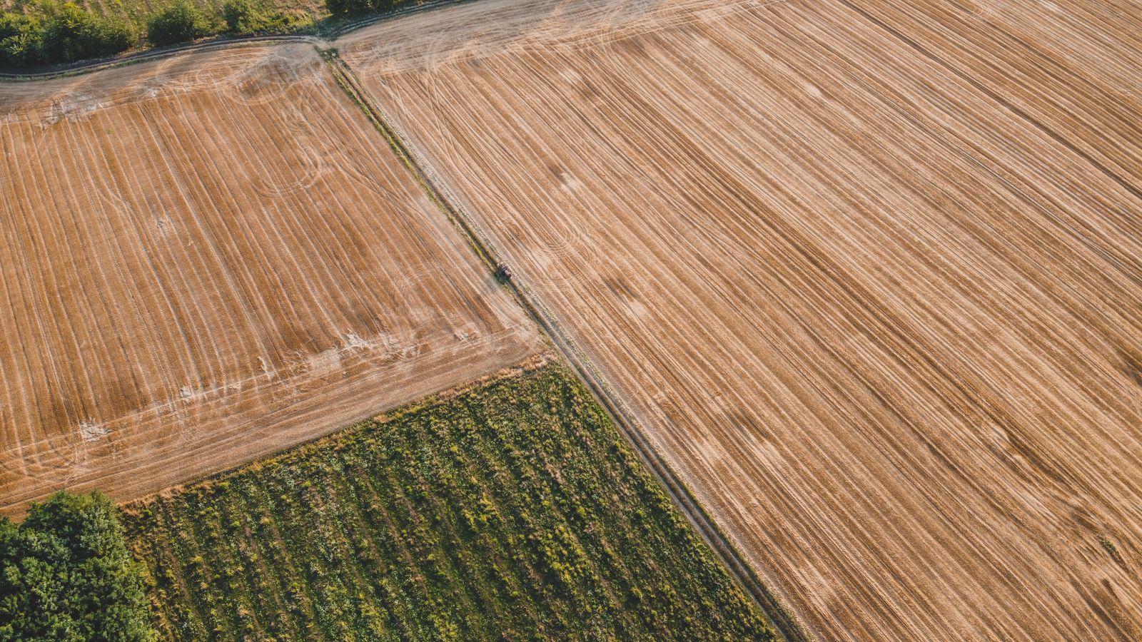 Patchwork of crop fields from above, ready for mapping