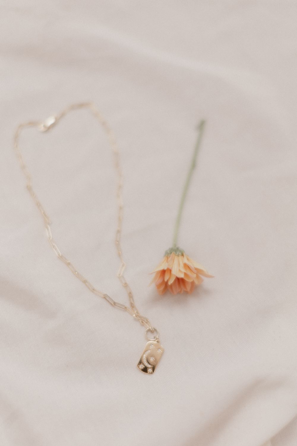 A fine gold chain lying on pale fabric beside a small dried flower