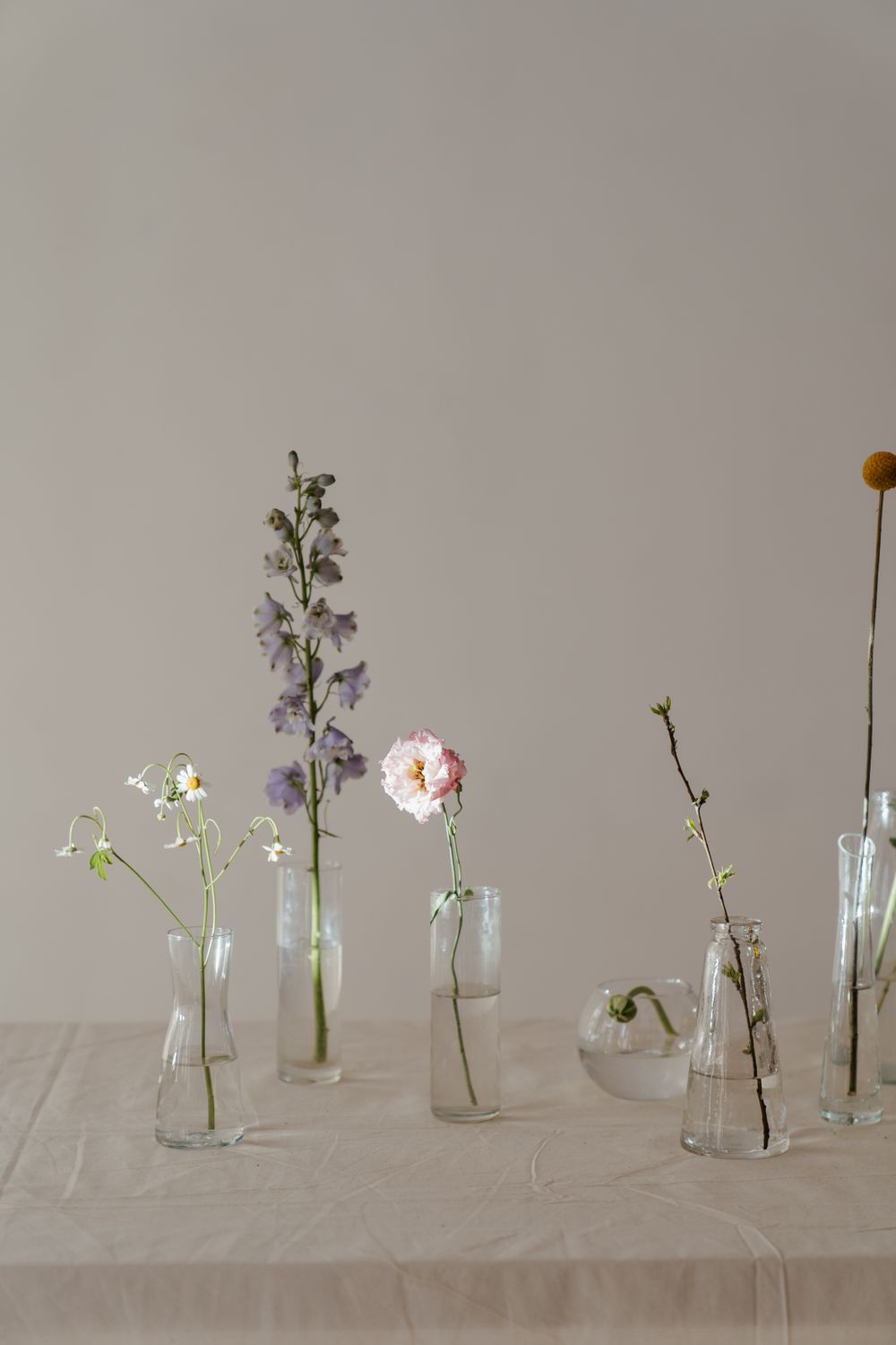 Single wild flowers in small clear glass bud vases