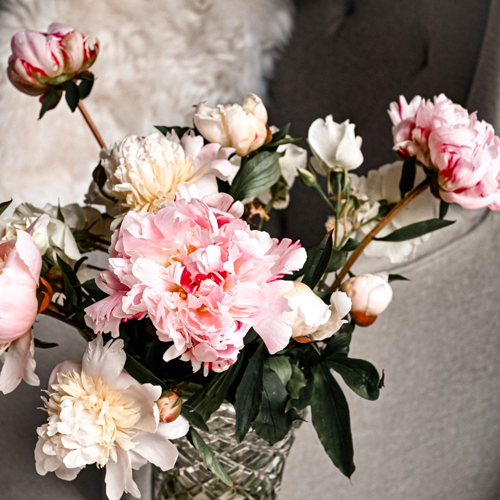 A loose bunch of pink and white peonies in a vase, seen up close