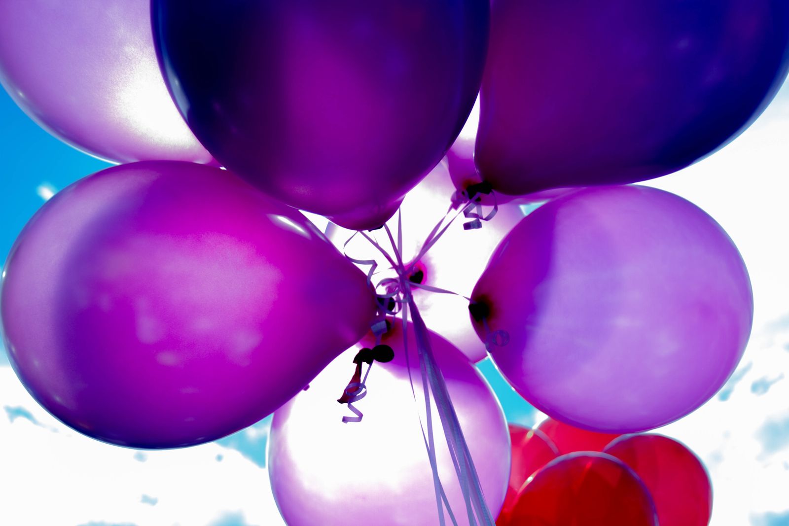 A bunch of shiny purple balloons on ribbons against a blue sky
