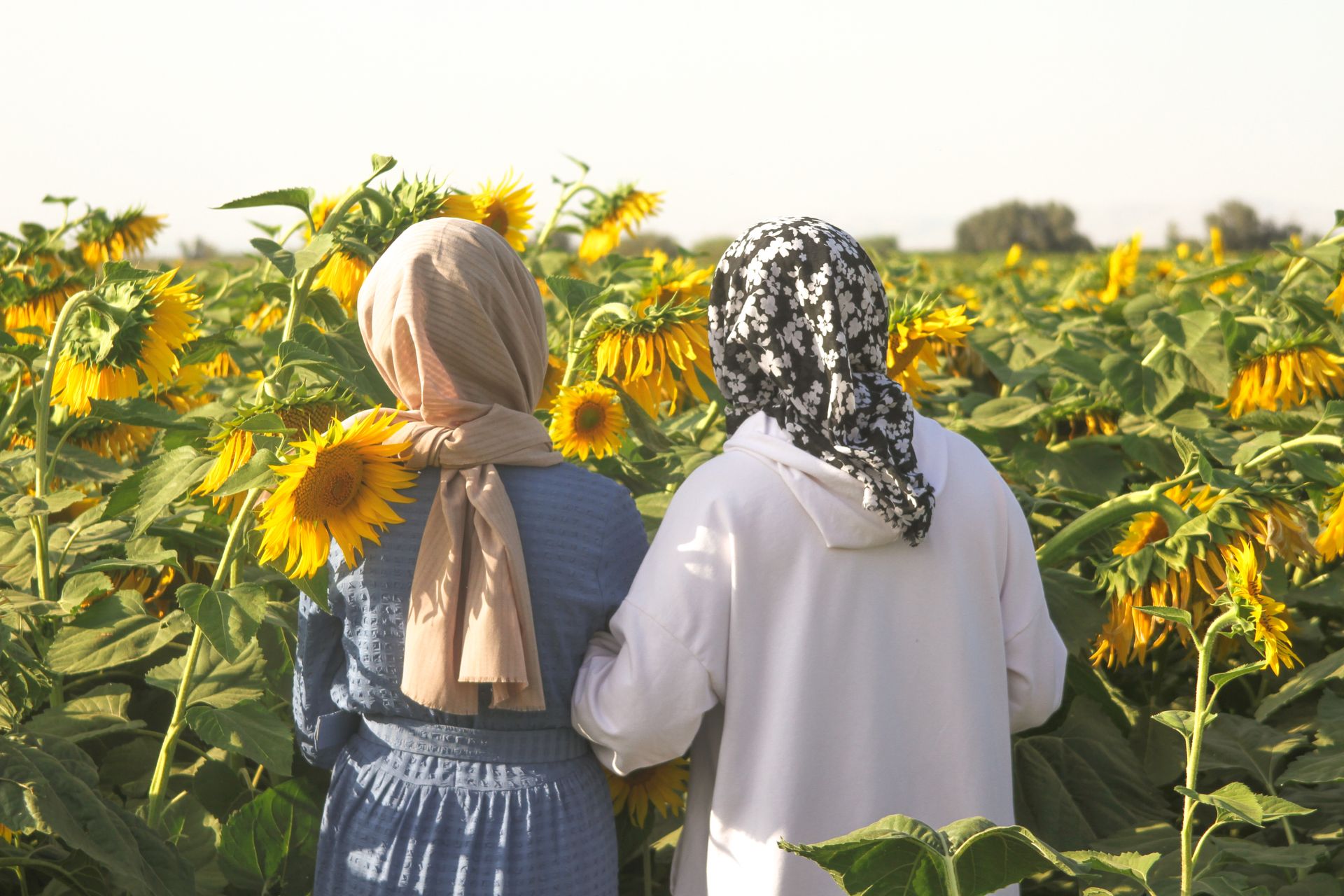 Two women in printed headscarves seen from behind, standing in a field of sunflowers
