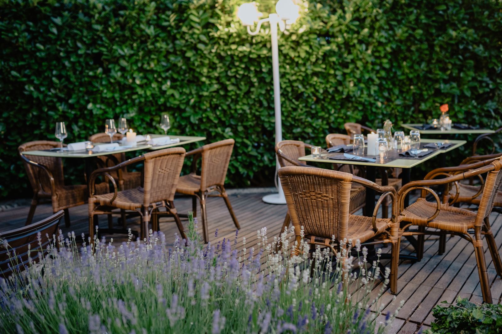 Restaurant tables laid on a garden terrace with lavender in front