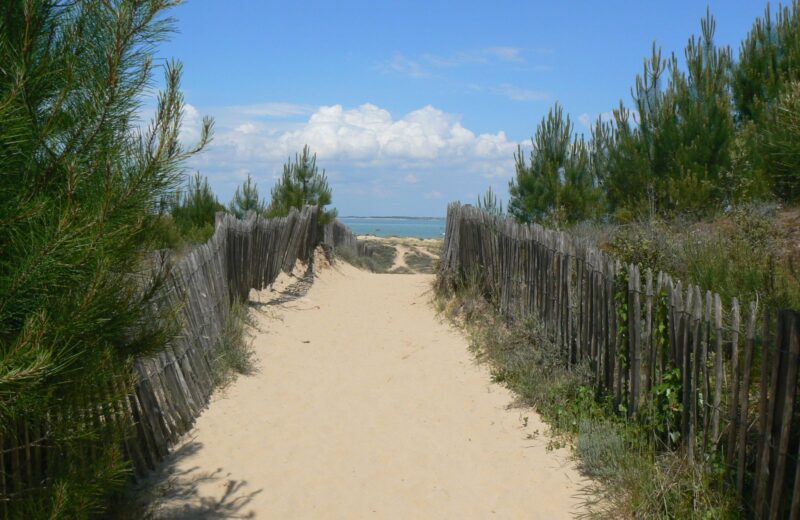 A sandy path between wooden fences through the dunes to the beach