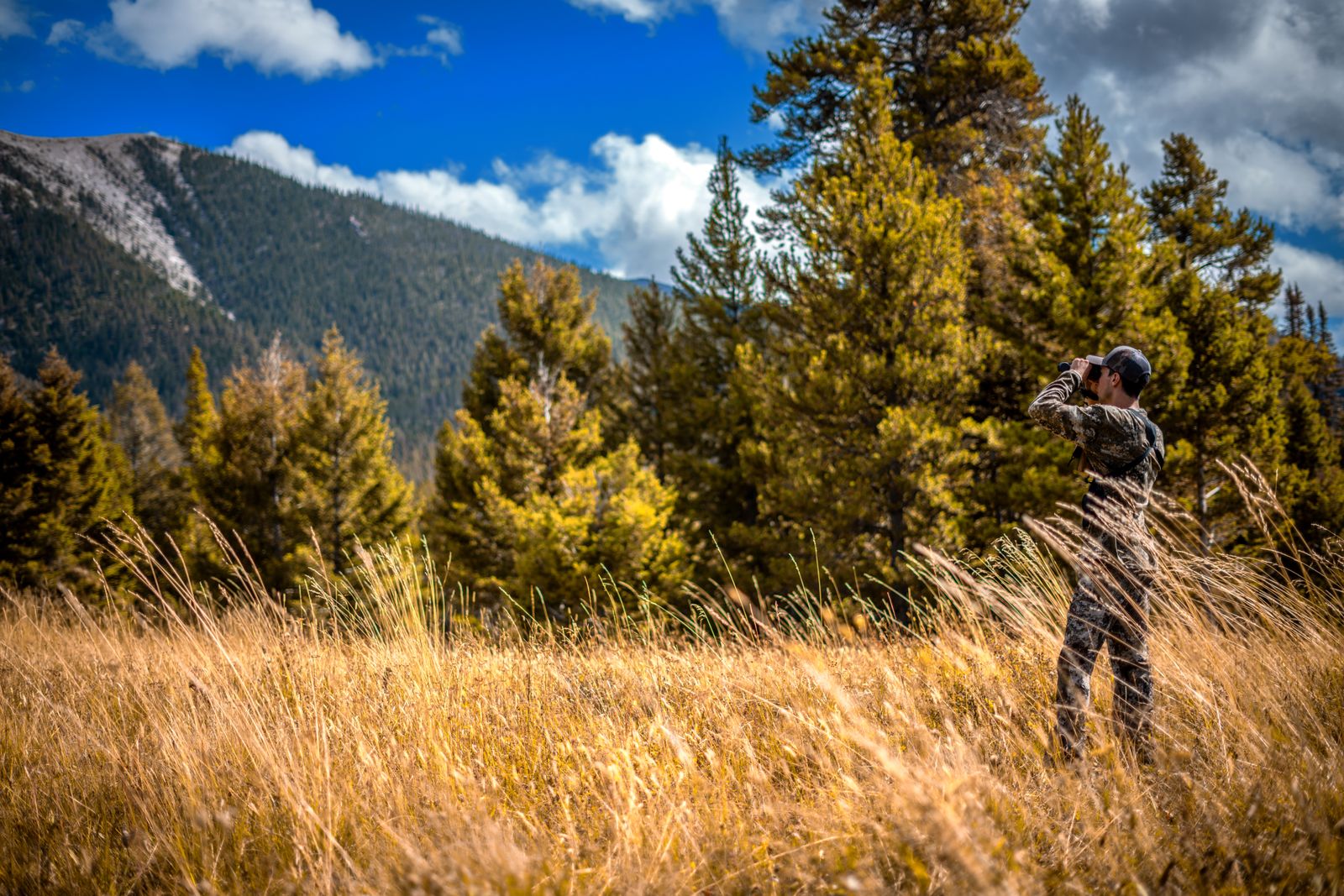 A hunter in camouflage glassing a mountain meadow with binoculars