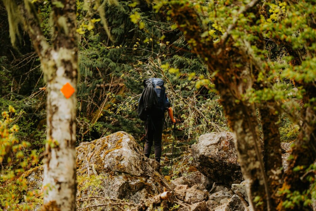 A hiker with a large backpack climbing a rocky forest trail