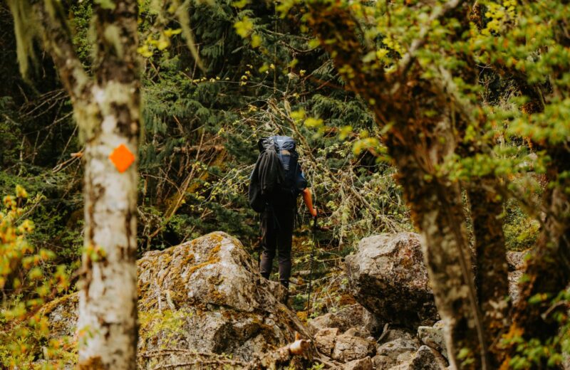 A hiker with a large backpack climbing a rocky forest trail