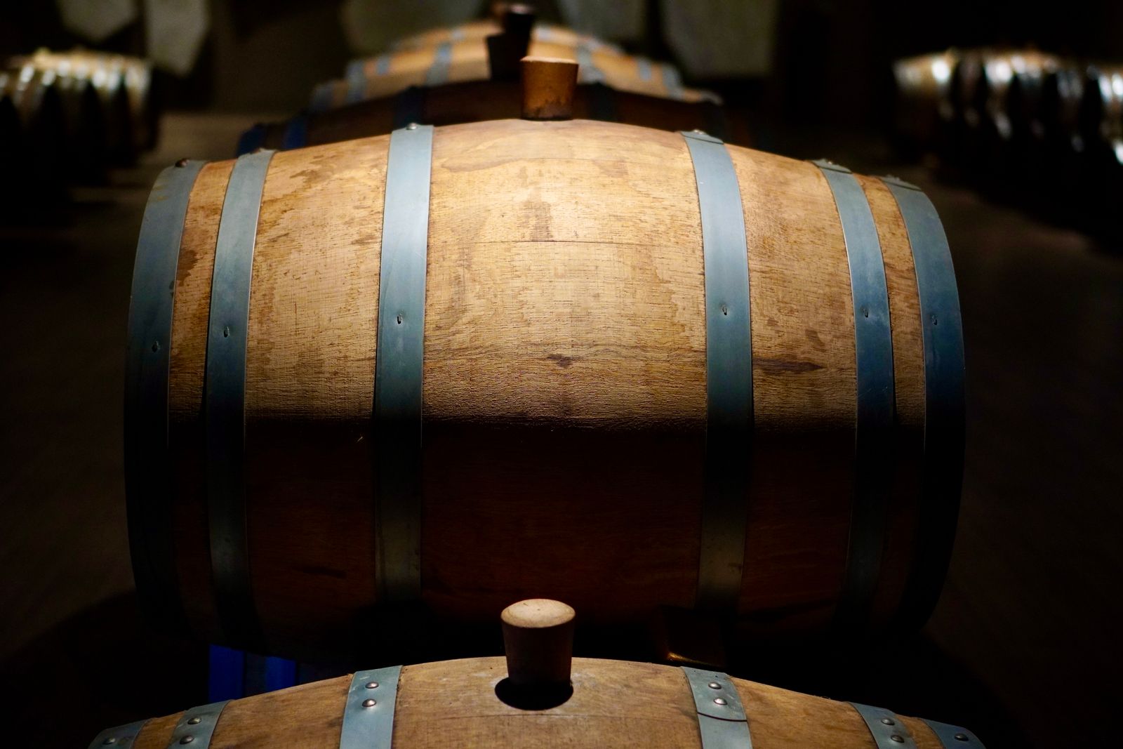 Oak wine barrels in a dark cellar, one lit by a beam of light