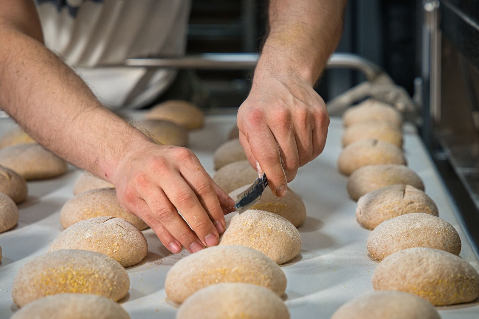 A baker's hands shaping rolls of dough on a tray