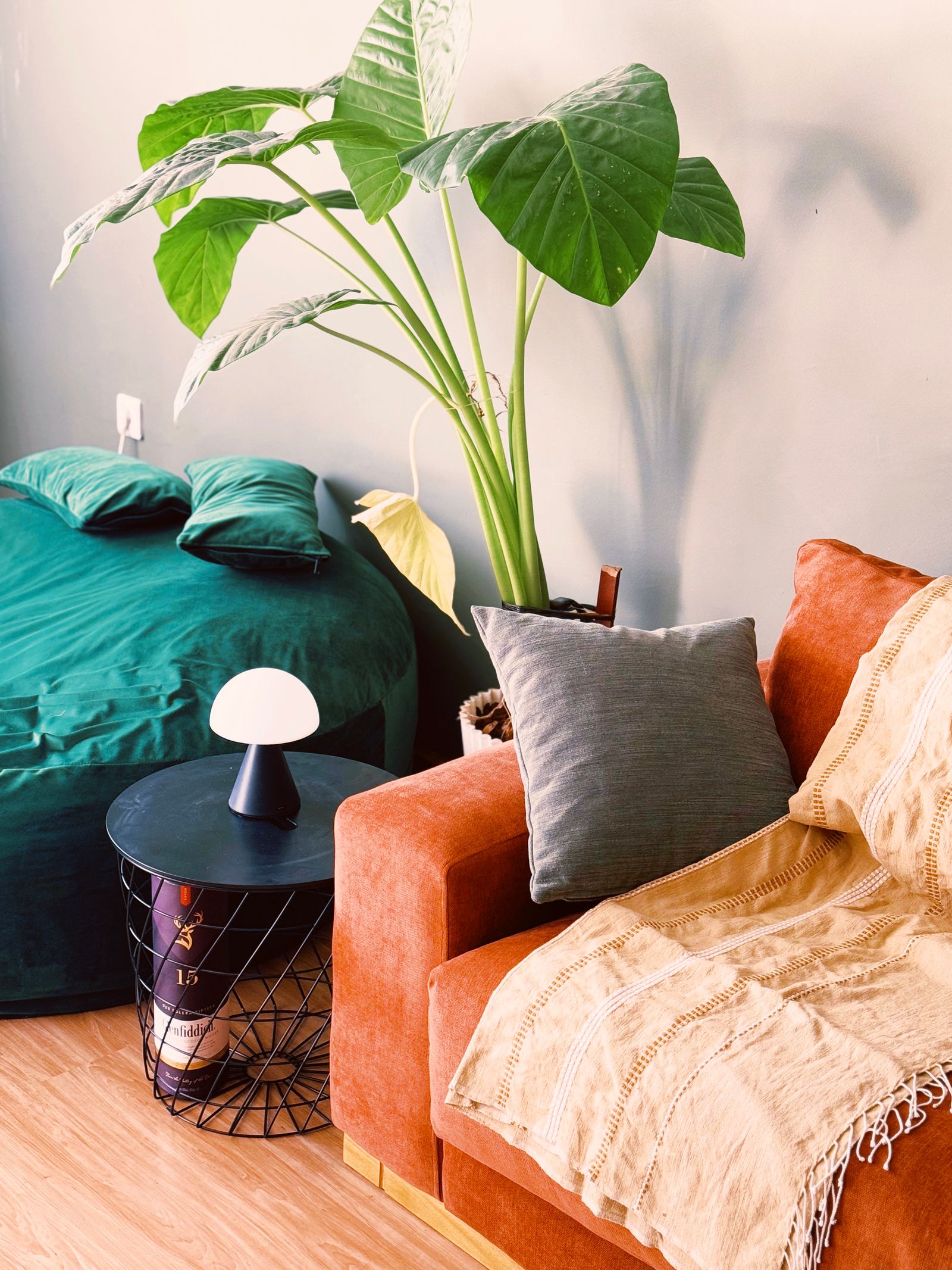 A corner of a bedroom with teal bedding, an orange armchair, a small lamp and a plant