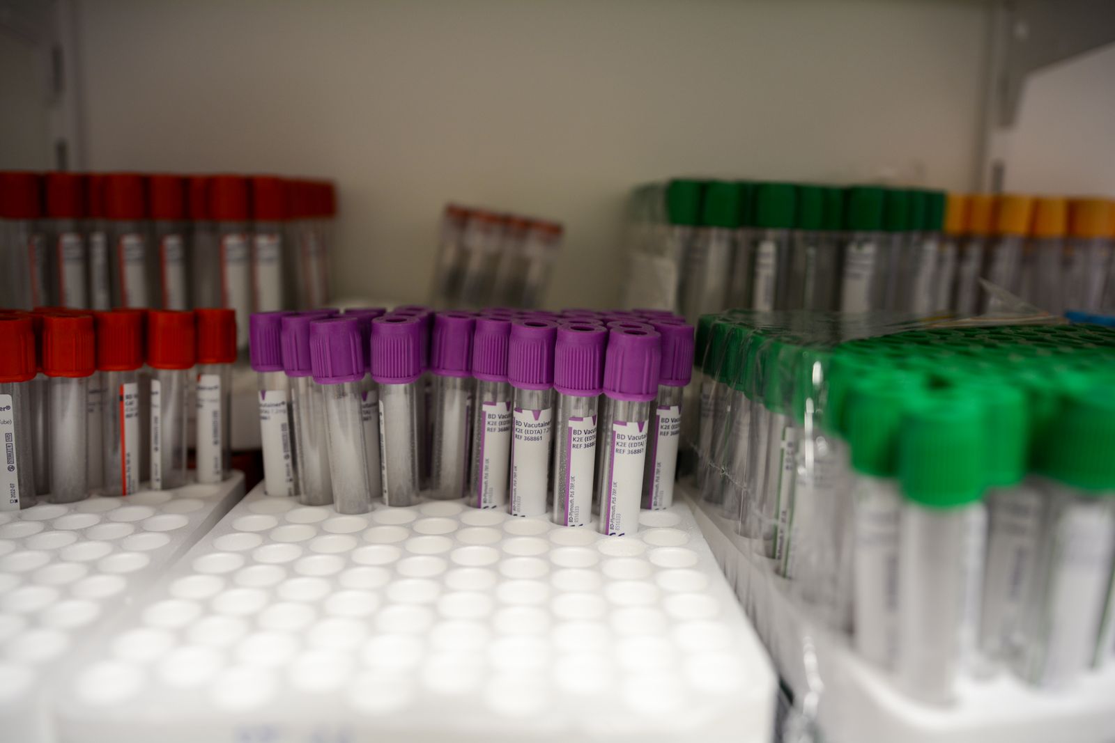 Rows of blood sample tubes with coloured caps in a laboratory rack