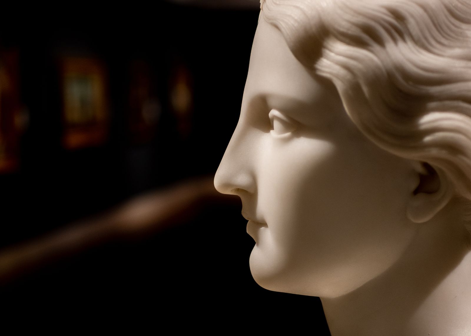 Marble head of a woman seen in profile