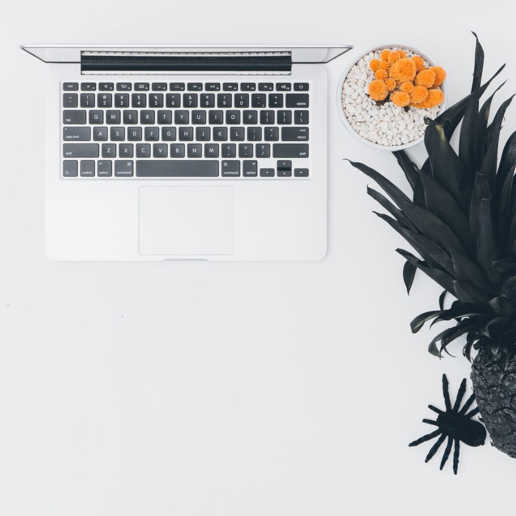 A laptop on a white desk seen from above, with a black pineapple and a spray of orange flowers