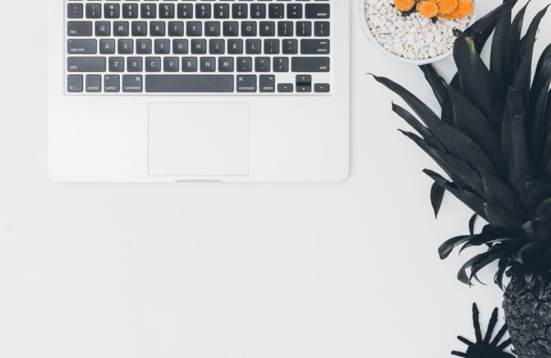 A laptop on a white desk seen from above, with a black pineapple and a spray of orange flowers