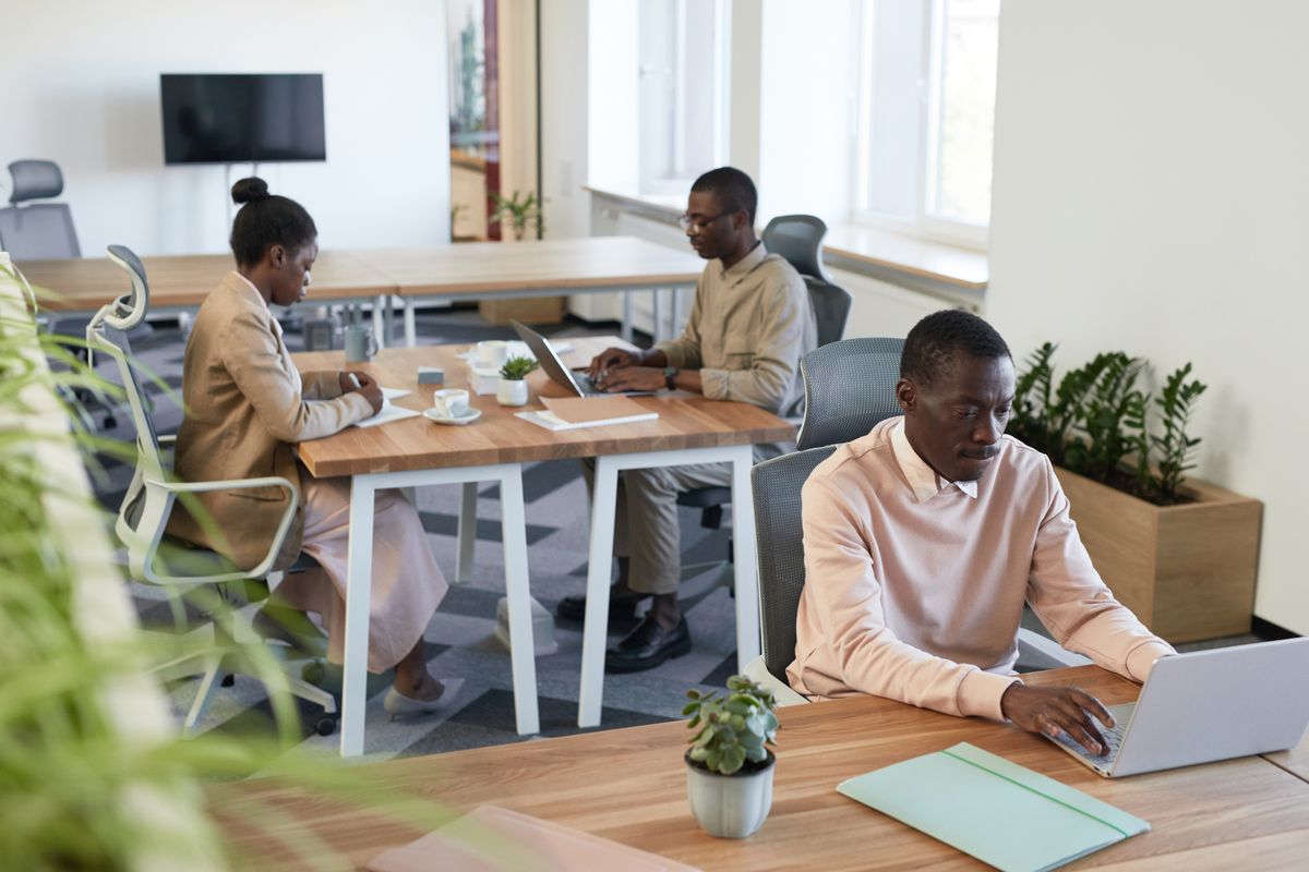 A studio office with wooden desks, plants and three people at their screens