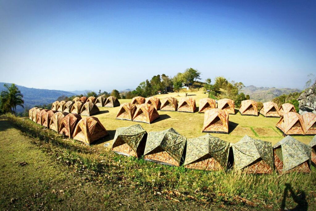 Rows of tents pitched on a green hillside