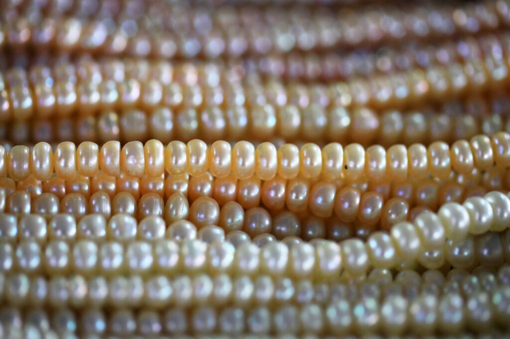 Rows of pearl beads lined up side by side, white to rose