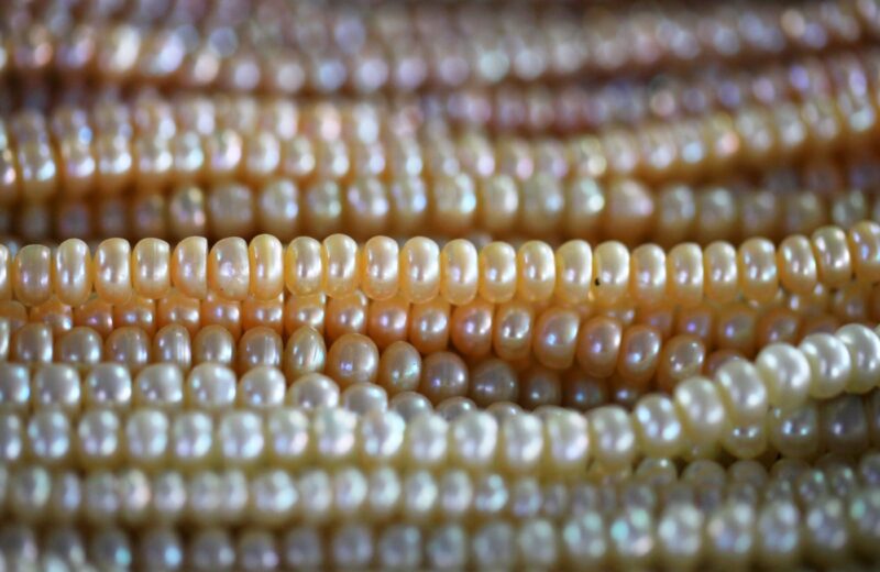 Rows of pearl beads lined up side by side, white to rose