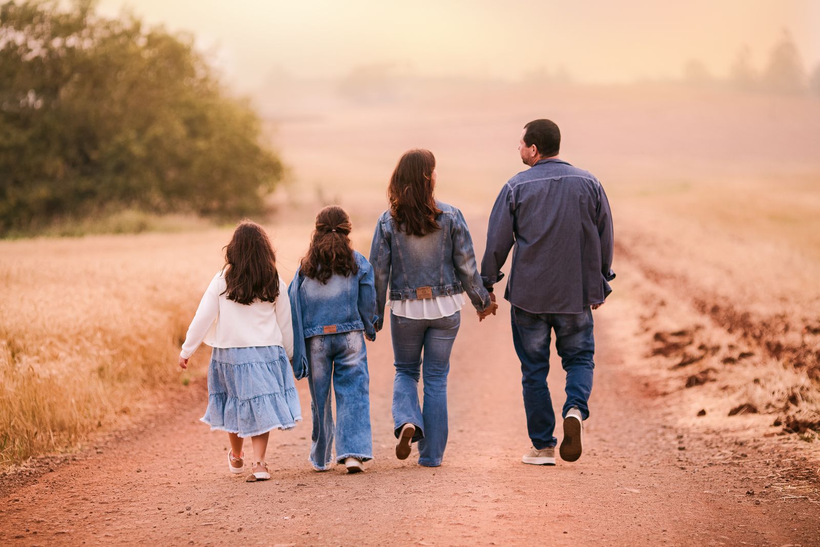 A family of four walking hand in hand along a country road at sunset, seen from behind
