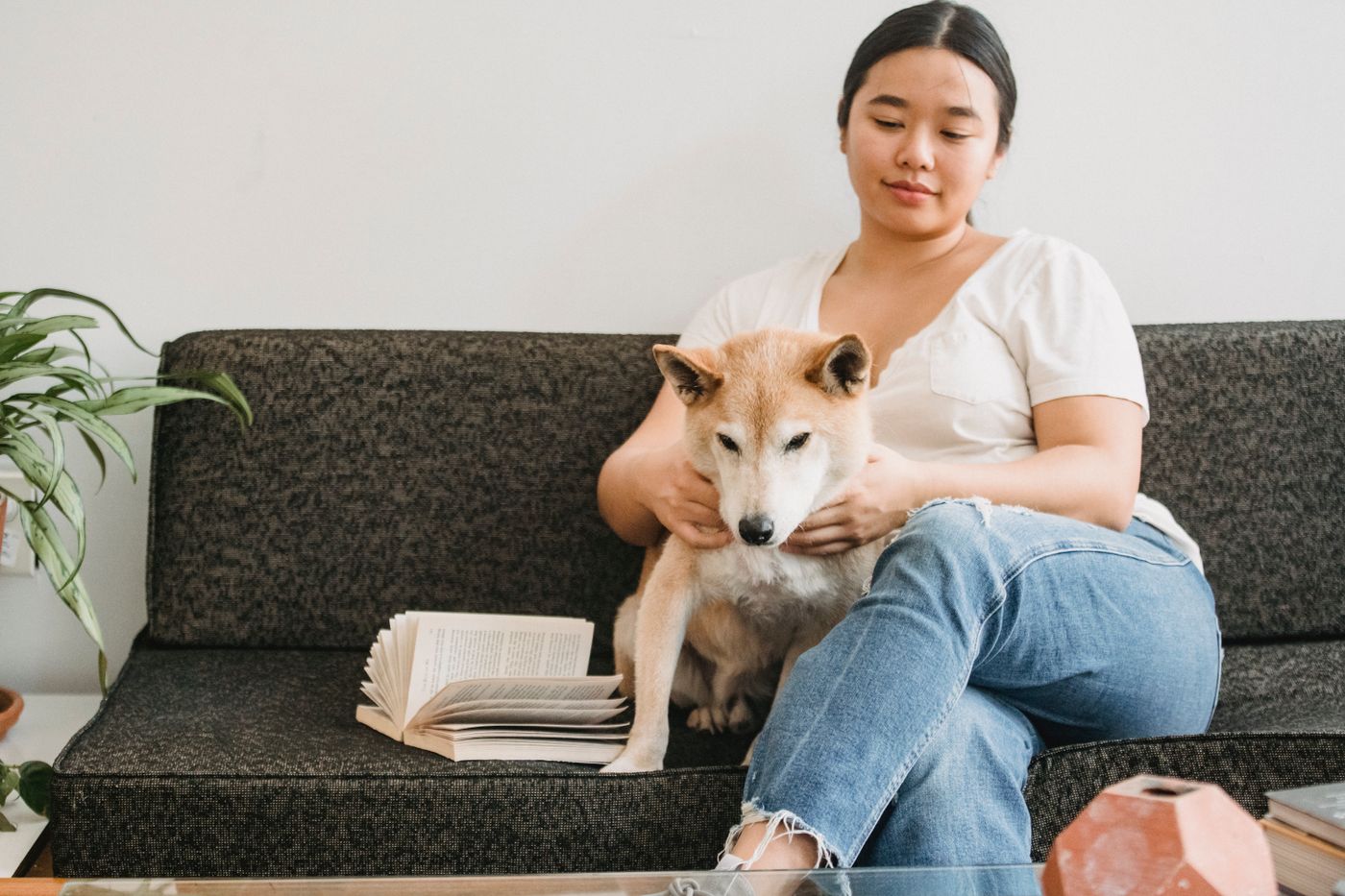 A woman on a sofa stroking a shiba inu that leans against her