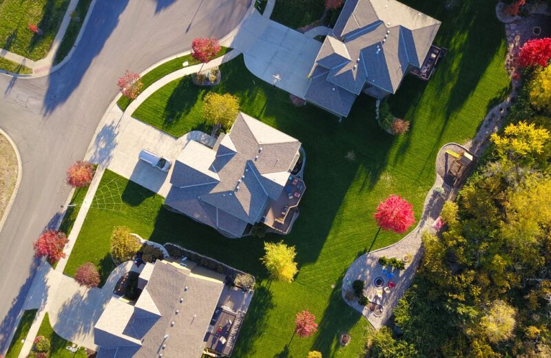 Aerial view of suburban houses, gardens and tree-lined streets