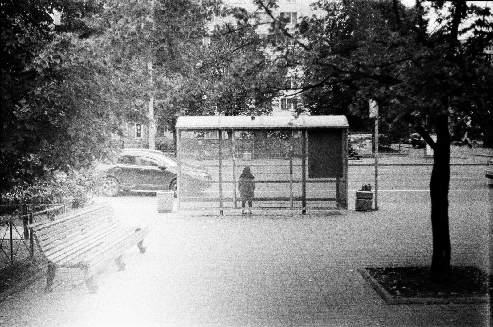 A person waiting at a bus shelter beside a tree-lined road, in black and white