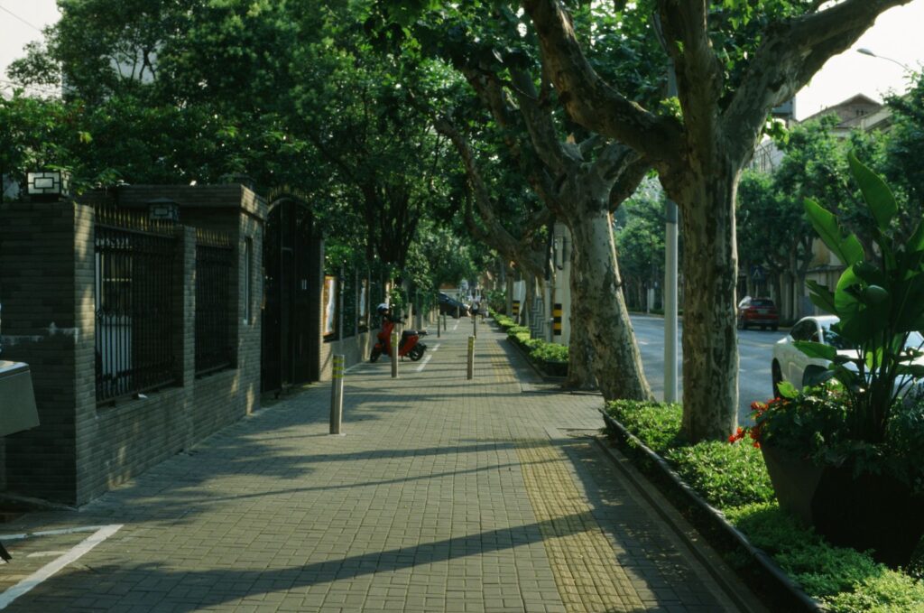 A tree-lined sidewalk in the city on a sunny day
