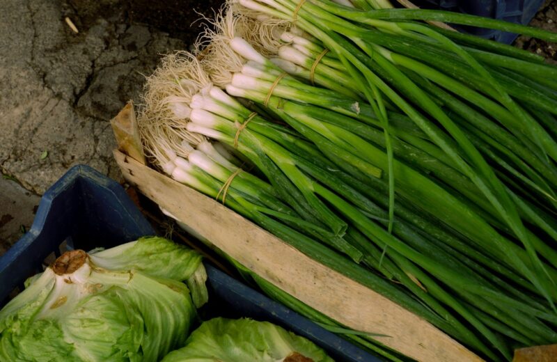 Bunches of spring onions and cabbages in crates at a market