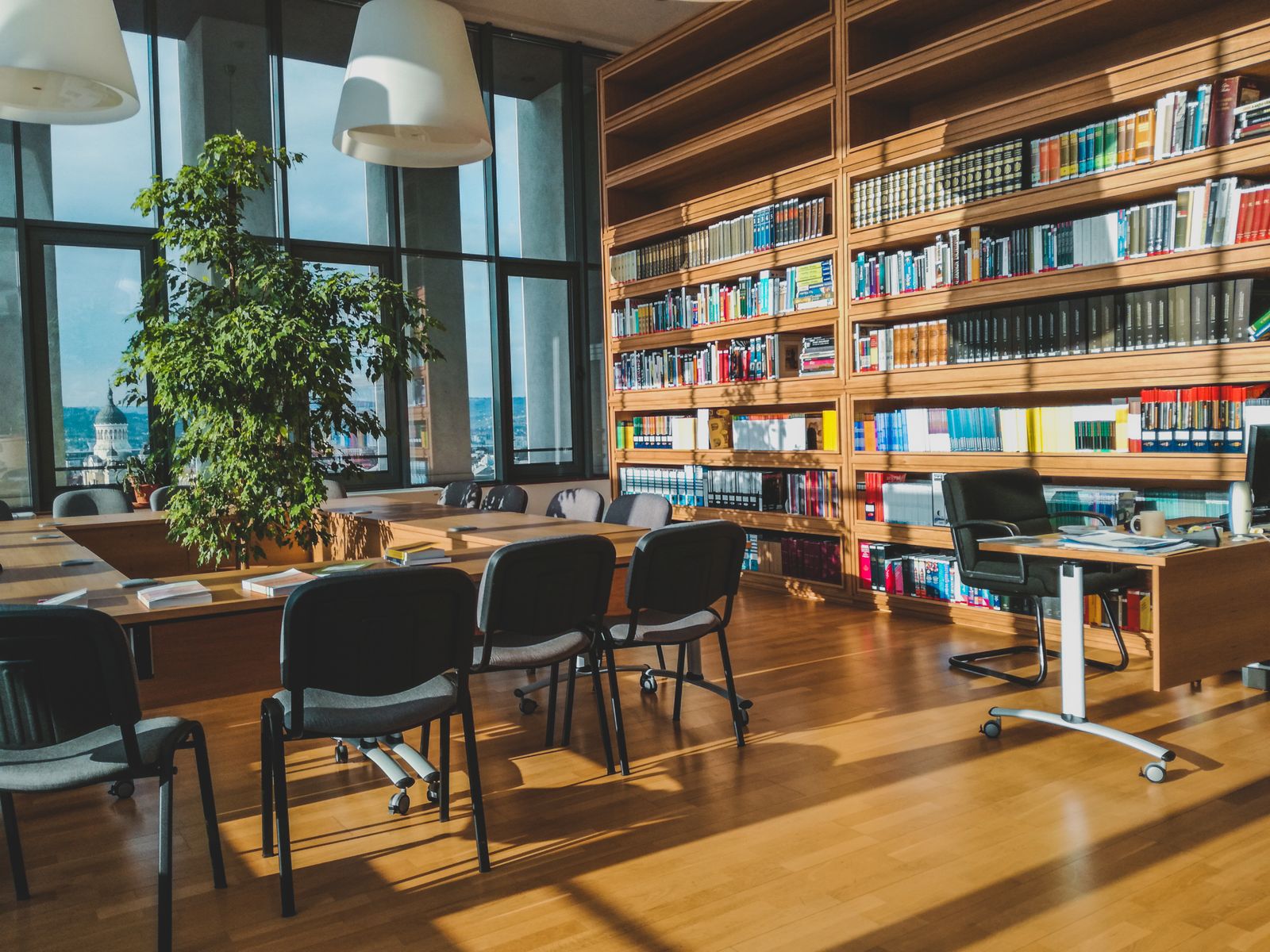 Sunlit school library with wooden shelves, tables and chairs