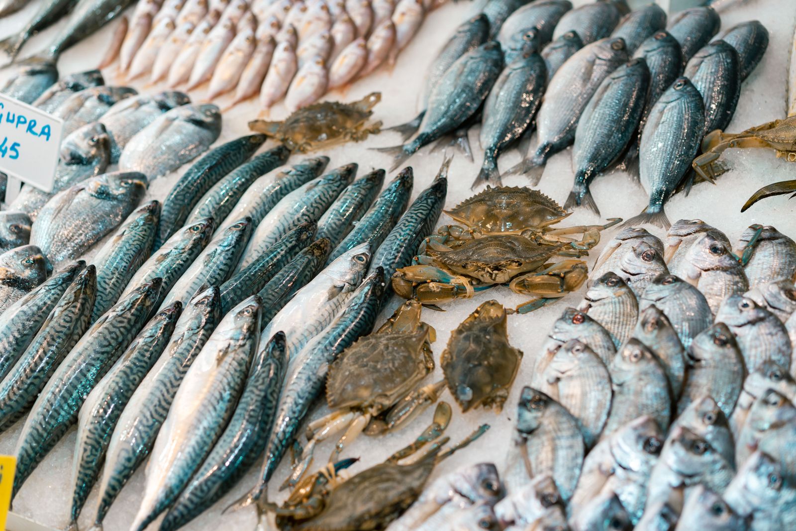 Mackerel, sea bream and crabs laid out on crushed ice at a fish market, seen from above