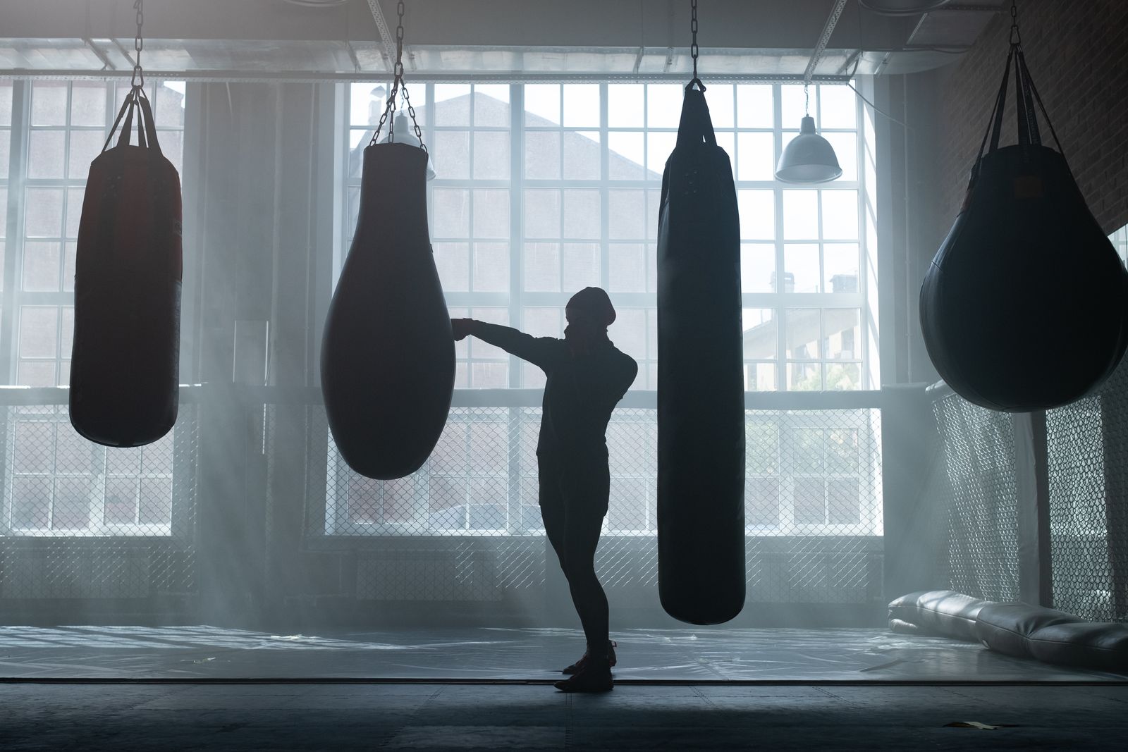 A boxer training alone between heavy punching bags in front of tall gym windows