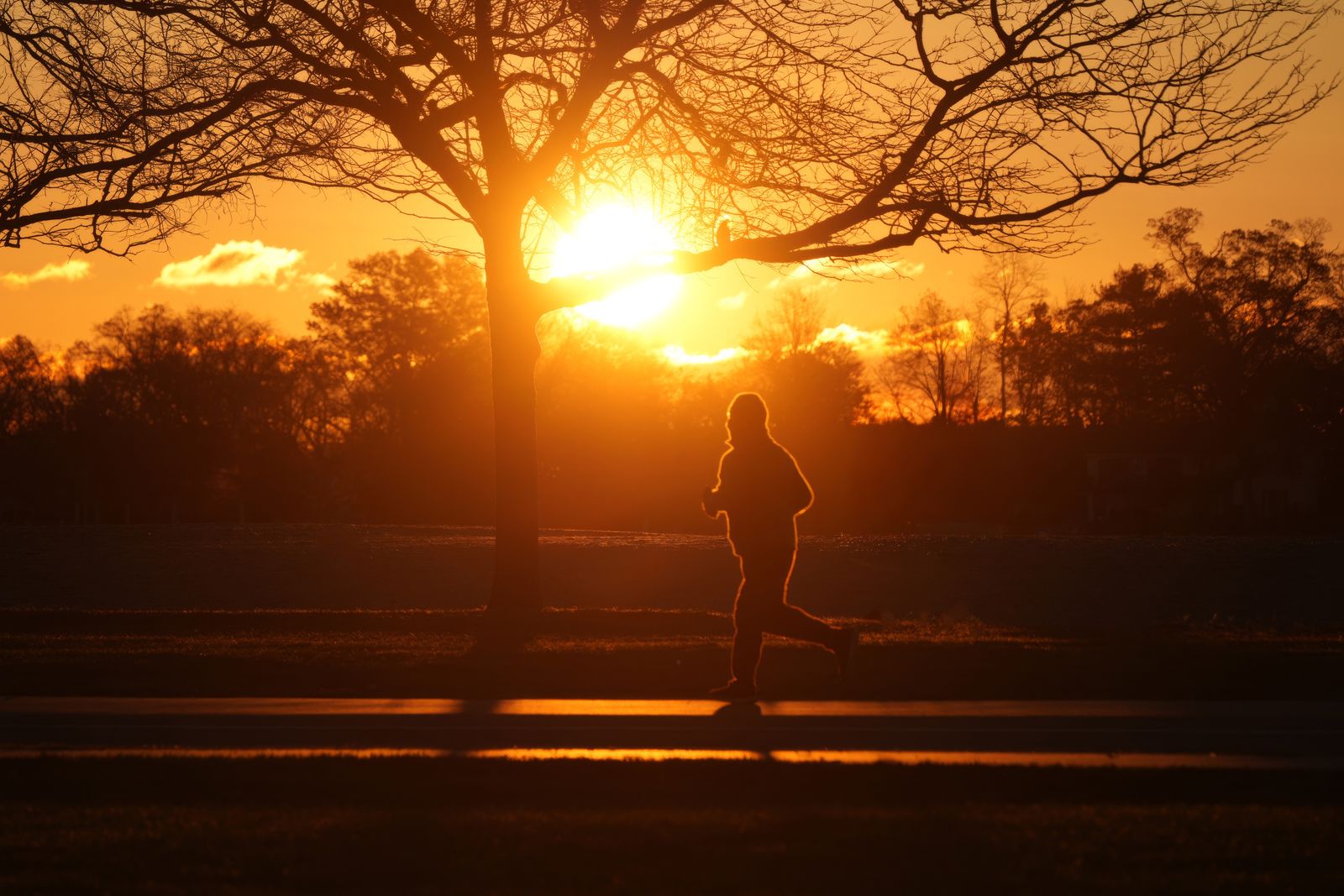 A runner in silhouette on a park path at sunset, framed by bare branches