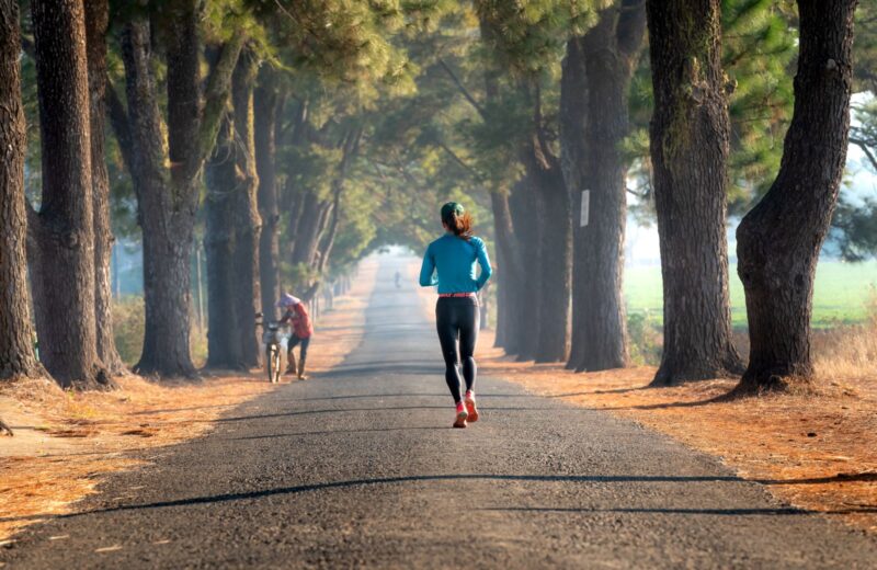 A runner in a blue top running away down a road lined with pines in the morning light