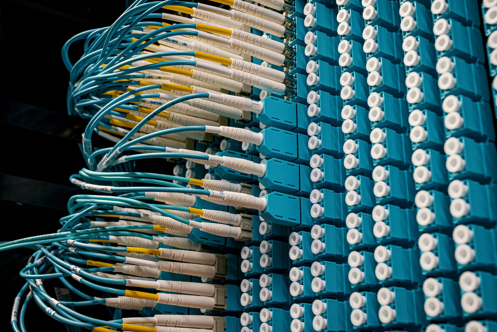 Aqua fibre patch cables plugged into a patch panel