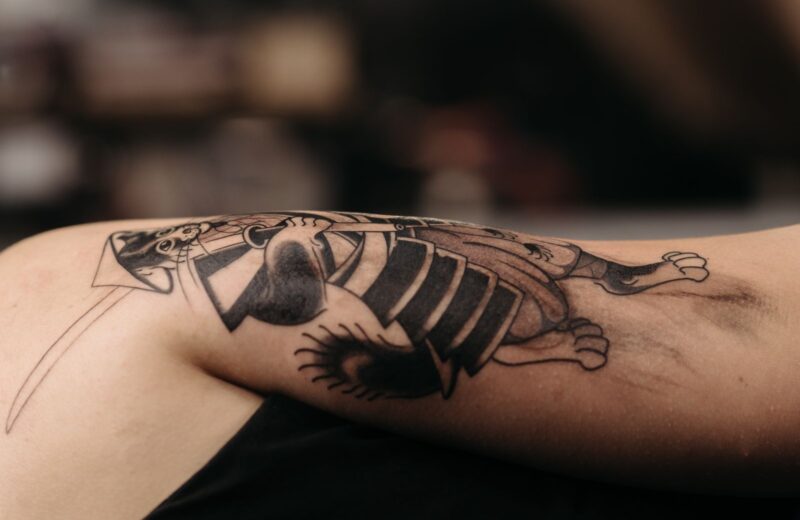 A healed black and grey cat tattoo on an arm