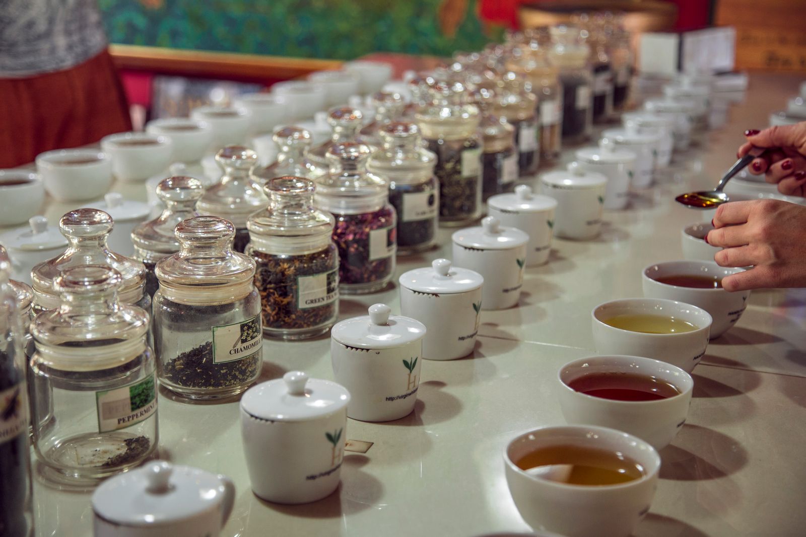 A tea tasting table with rows of cups, jars and lids, a taster holding a spoon