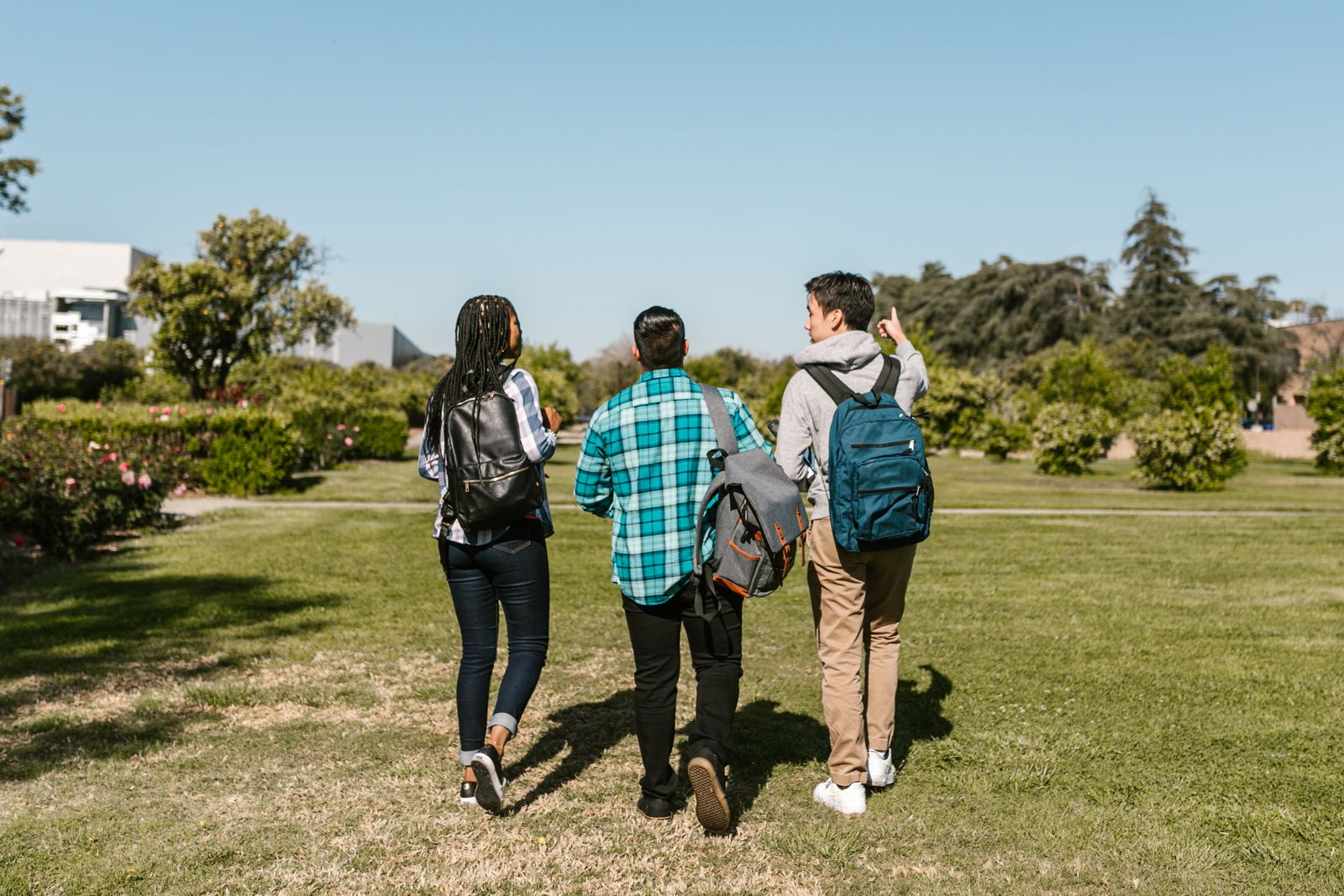Three students with backpacks walking across a campus lawn, seen from behind