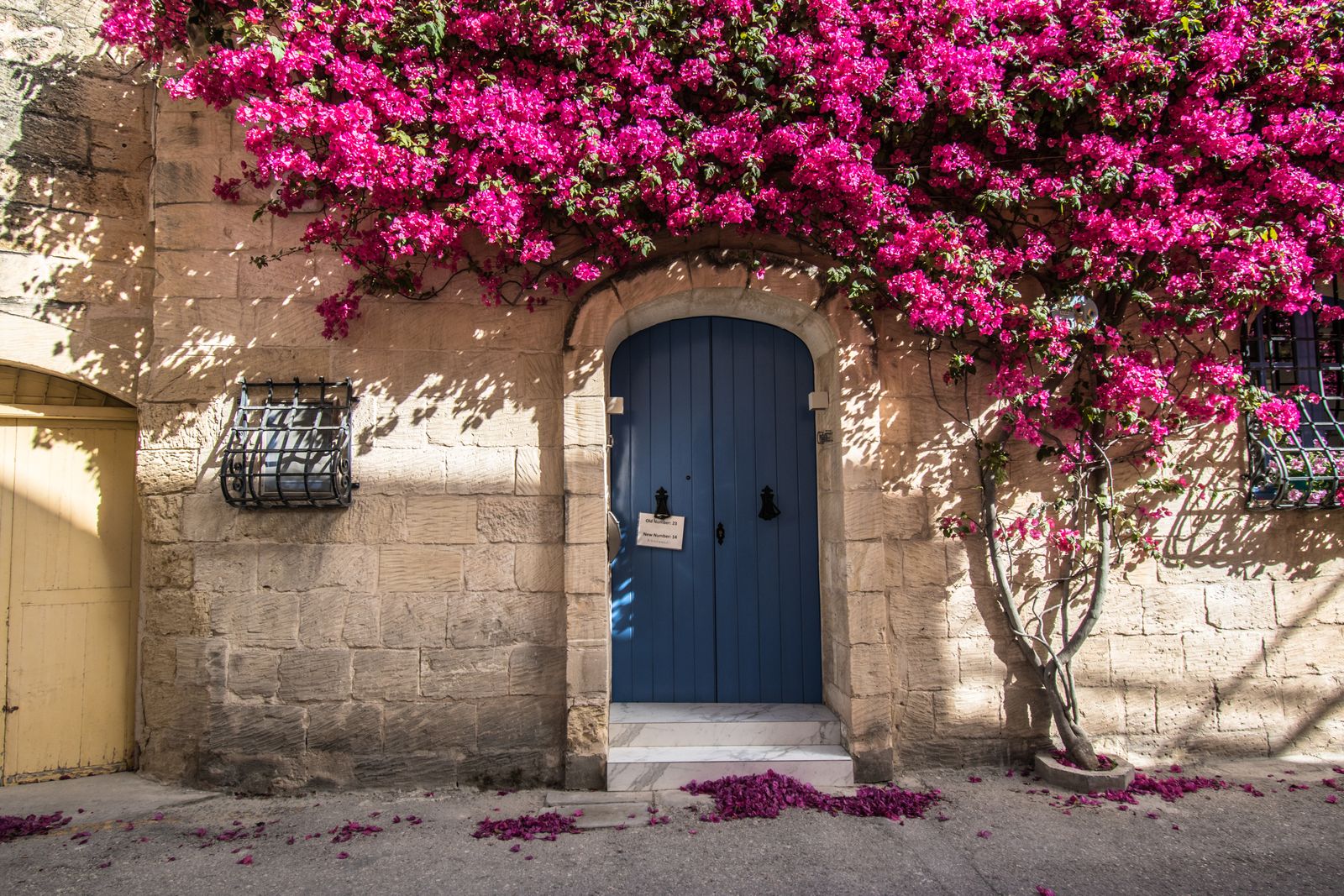A blue arched door in a limestone wall under pink bougainvillea